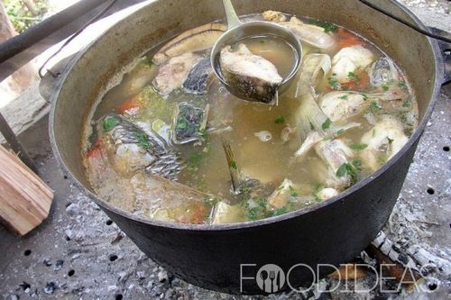 Уха на костре: простой и вкусный рецепт