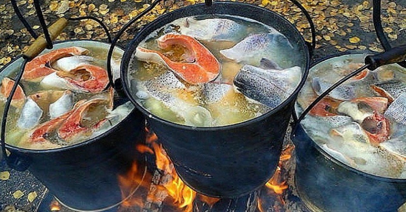 Уха на костре: простой и вкусный рецепт