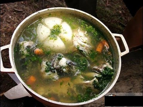 Уха на костре: простой и вкусный рецепт