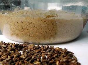 Универсальная закваска для вина: рецепты из ягод и изюма