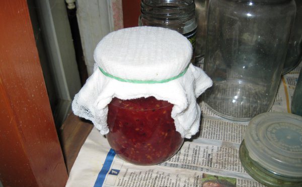 Универсальная закваска для вина: рецепты из ягод и изюма