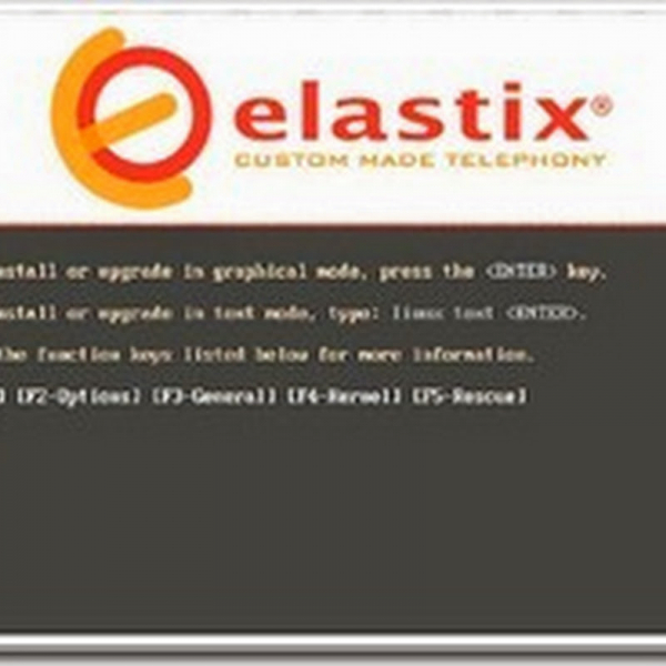 Установка elastix с созданием raid 1