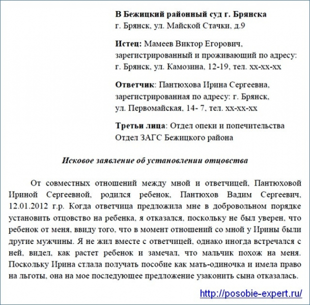 Установление отцовства в судебном порядке и в органах загса: пошаговая инструкция