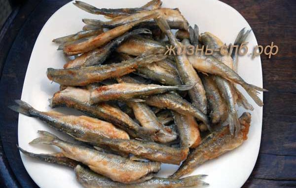 Весенняя ловля корюшки