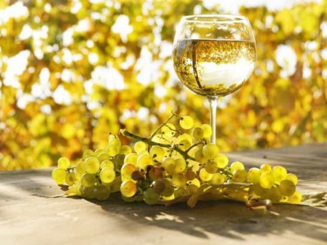 Вина Chablis (Шабли) – описание напитка и особенности букета, отзывы покупателей