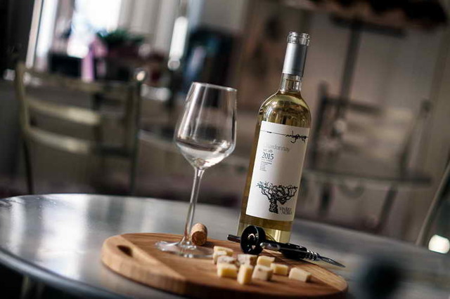 Вина Chardonnay (Шардоне) – виды напитка и культура употребления