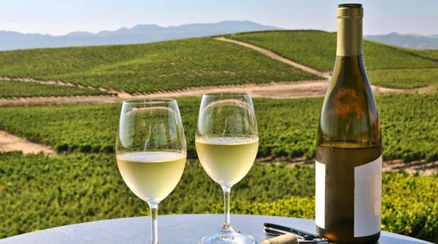 Вина Chardonnay (Шардоне) – виды напитка и культура употребления