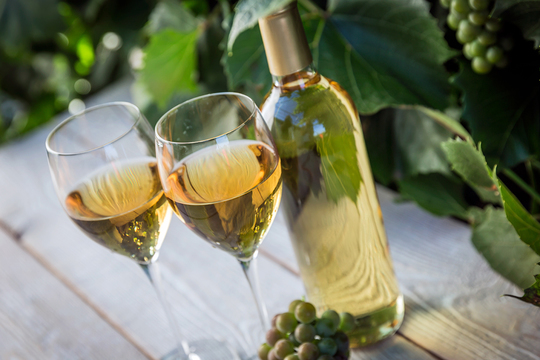 Вина Греции: популярные сорта и бренды, какое попробовать и купить?