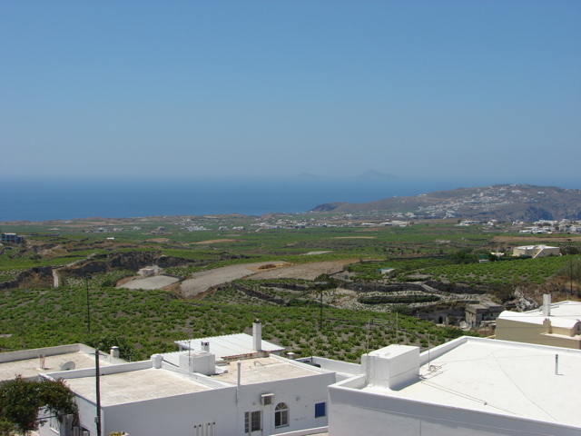 Вина Греции: популярные сорта и бренды, какое попробовать и купить?