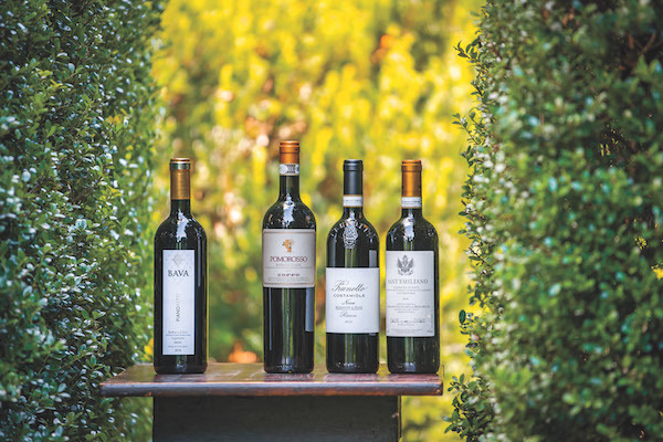 Вино Barbera (Барбера) — эталон итальянской культуры виноделия и традиций