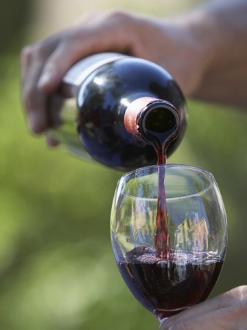 Вино Barbera (Барбера) — эталон итальянской культуры виноделия и традиций