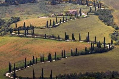 Вино Brunello di Montalcino (Брунелло ди Монтальчино): особенности и культура пития