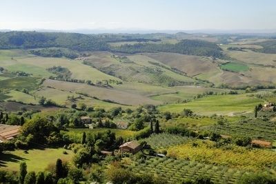 Вино Brunello di Montalcino (Брунелло ди Монтальчино): особенности и культура пития