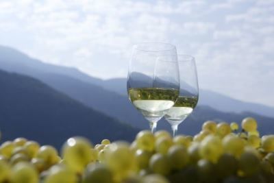 Вино Gewurztraminer (Гевюрцтраминер): описание напитка и с чем правильно подавать?