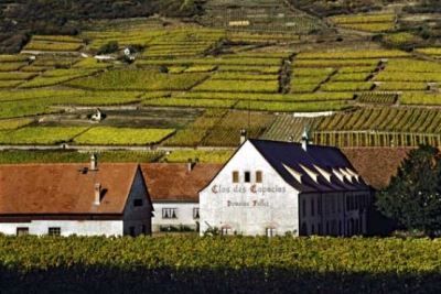 Вино Gewurztraminer (Гевюрцтраминер): описание напитка и с чем правильно подавать?