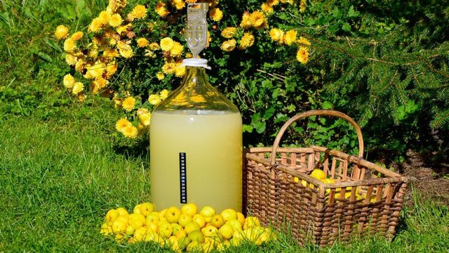 Вино из айвы в домашних условиях – простой рецепт приготовления