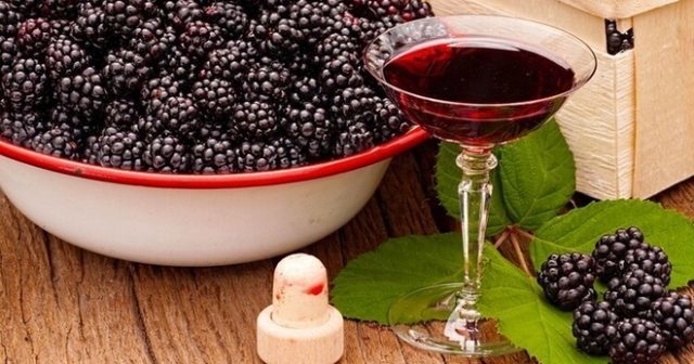 Вино из ежевики в домашних условиях — рецепт и технология