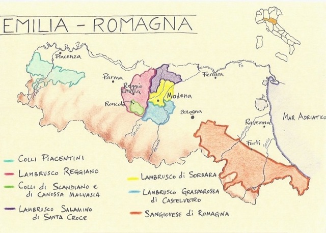 Вино Lambrusco (Ламбруско): дегустационные характеристики итальянского игристого и виды напитка