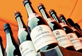 Вино Lambrusco (Ламбруско): дегустационные характеристики итальянского игристого и виды напитка