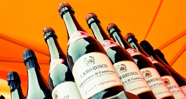 Вино Lambrusco (Ламбруско): дегустационные характеристики итальянского игристого и виды напитка