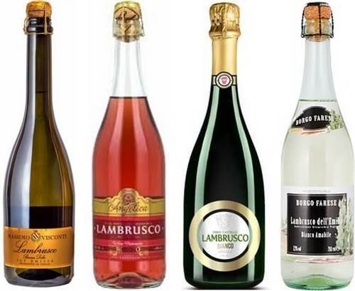 Вино Lambrusco (Ламбруско): дегустационные характеристики итальянского игристого и виды напитка