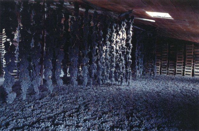 Вино Valpolicella (Вальполичелла): дегустационные характеристики и какие бывают виды этого напитка