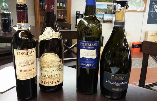 Вино Valpolicella (Вальполичелла): дегустационные характеристики и какие бывают виды этого напитка