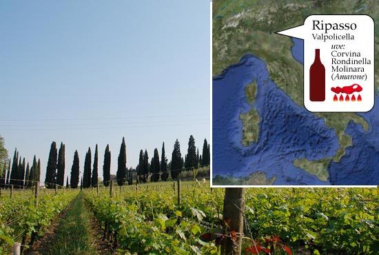 Вино Valpolicella (Вальполичелла): дегустационные характеристики и какие бывают виды этого напитка