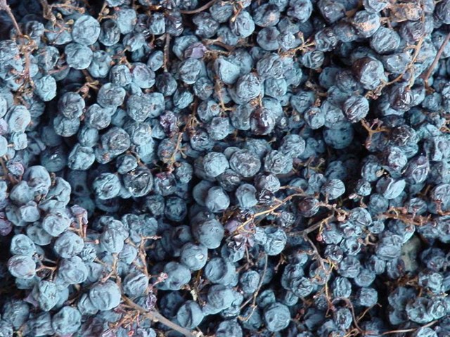 Вино Valpolicella (Вальполичелла): дегустационные характеристики и какие бывают виды этого напитка