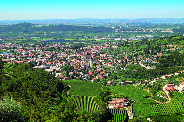 Вино Valpolicella (Вальполичелла): дегустационные характеристики и какие бывают виды этого напитка