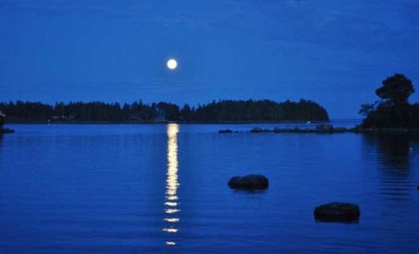 Влияние луны на клев рыбы: как лунные фазы действуют на водных обитателей