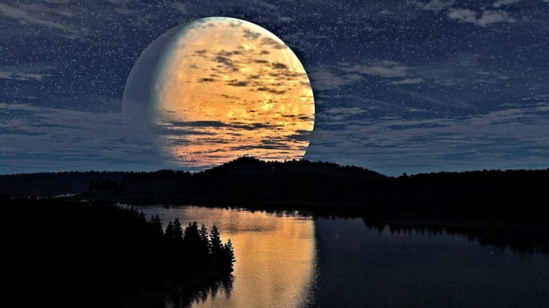 Влияние луны на клев рыбы: как лунные фазы действуют на водных обитателей