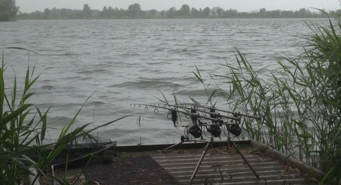 Влияние ветра на клев рыбы