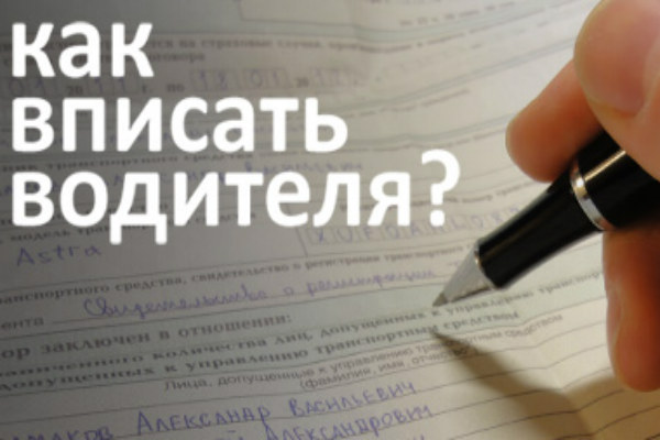 Второй водитель не вписан в полис каско: нужно ли вписывать и как это сделать в 2019 году