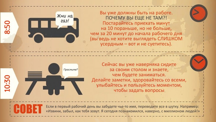 Выживание в офисе для новичков