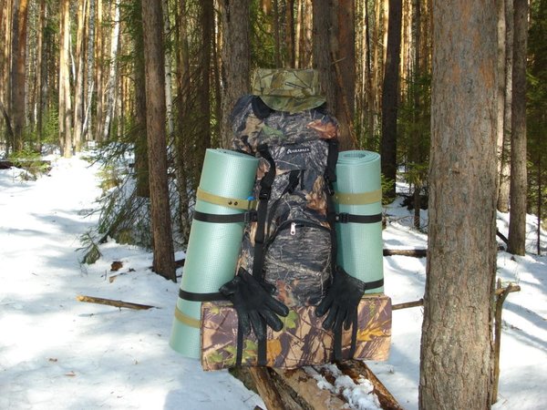 Выживание в тайге зимой: основные законы сурового севера