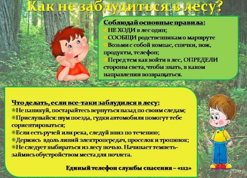 Заблудились в лесу – план действий