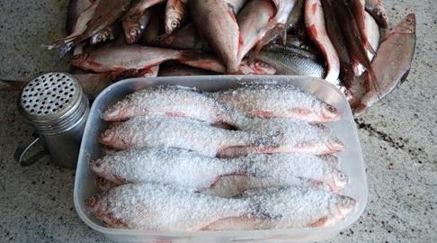 Засолка рыбы для копчения