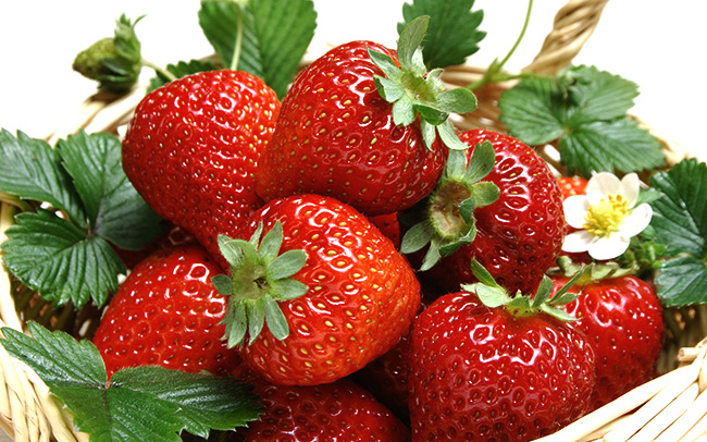 Желе из садовой земляники: как приготовить из свежей, замороженной ягоды, польза, сроки и правила хранения, варианты подачи