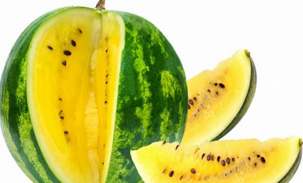 Желтый арбуз: характеристика, вкусовые качества, лучшие сорта с желтой мякотью, уход, проблемы при выращивании, пятна внутри, желтые листья