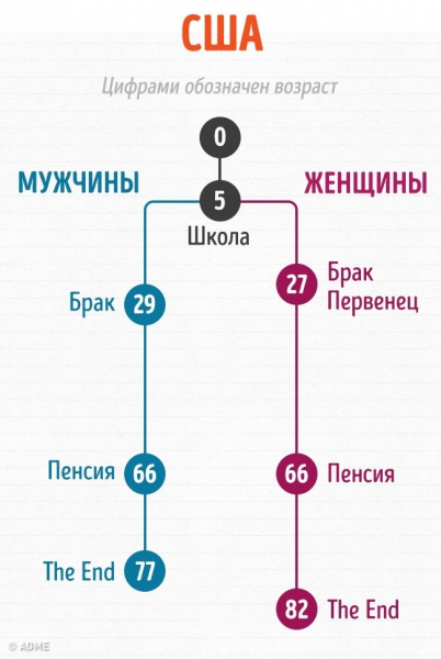 Жизнь простого человека в графиках