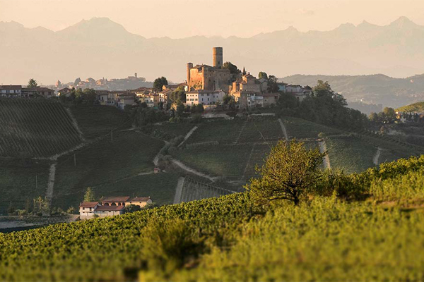 Знаменитое итальянское красное вино Barbaresco (Барбареско): описание и регламент выдержки напитка