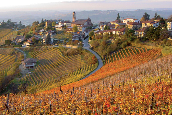 Знаменитое итальянское красное вино Barbaresco (Барбареско): описание и регламент выдержки напитка