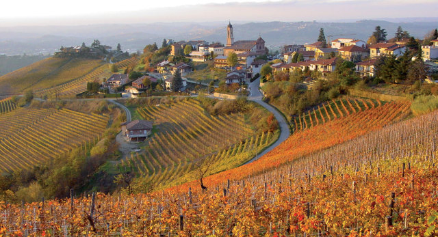 Знаменитое итальянское красное вино Barbaresco (Барбареско): описание и регламент выдержки напитка